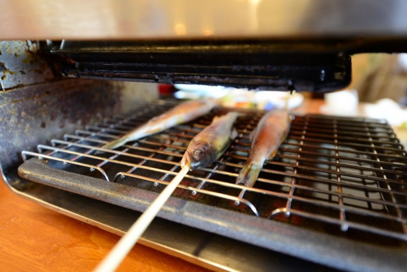 ayuyanosato (7)_1024