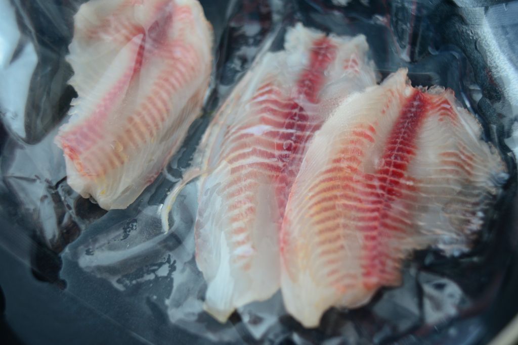 カンボジア 淡水の鯛イズミダイ ティラピア の刺身を食してみた Office Seishiron 海外から見た日本の 視点でビジネスを考える